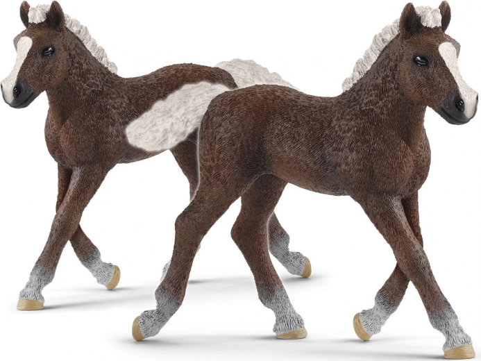 SCHLEICH HORSE CLUB Schwarzwälder Fohlen – Figur
