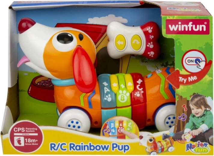 Interaktiver Hund mit Fernbedienung Hau Hau – Smily Play