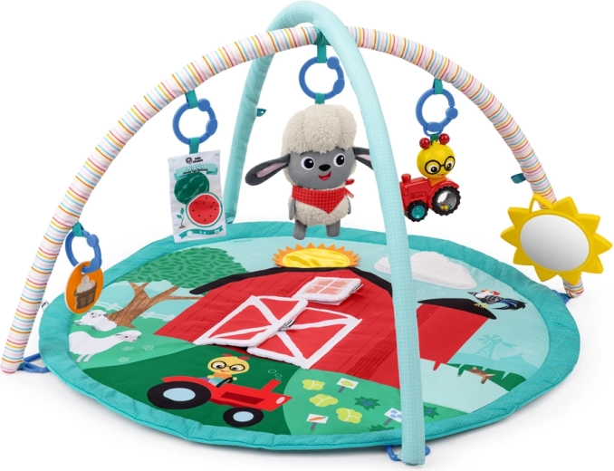 Baby Einstein Spieldecke Happy Harvest Touch & Feel mit Spielbogen