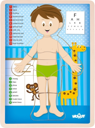 Puzzle Menschlicher Körper Junge