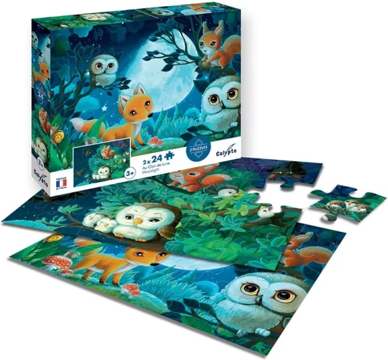 Sentosphere Puzzle bei Mondschein