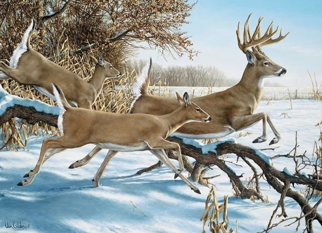 COBBLE HILL Puzzle Flucht – 1000 Teile