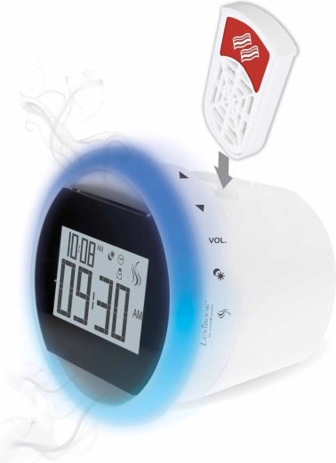 Kompatibel mit LEXIBOOK Radioweckern CS100