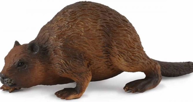 Collecta Biber – realistische Tierfigur