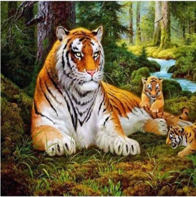 Norimpex Diamant-Malerei Tigerfamilie mit Jungen 30x40 cm