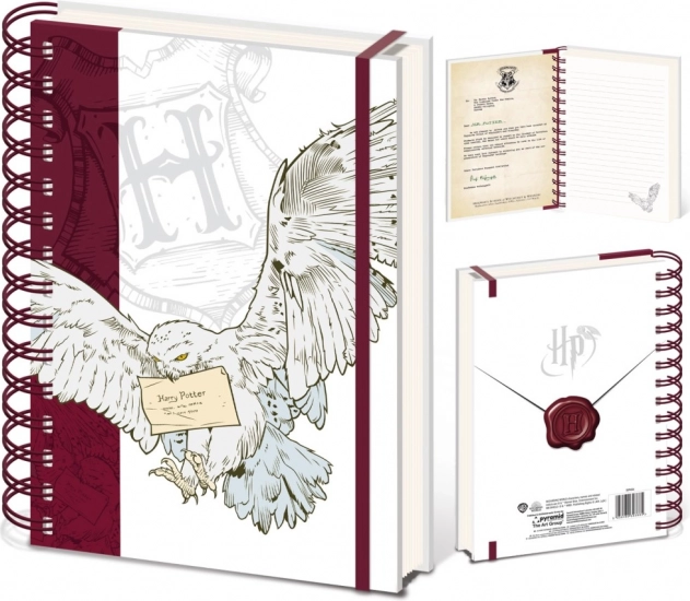 Harry Potter Ringbuch Special Delivery
