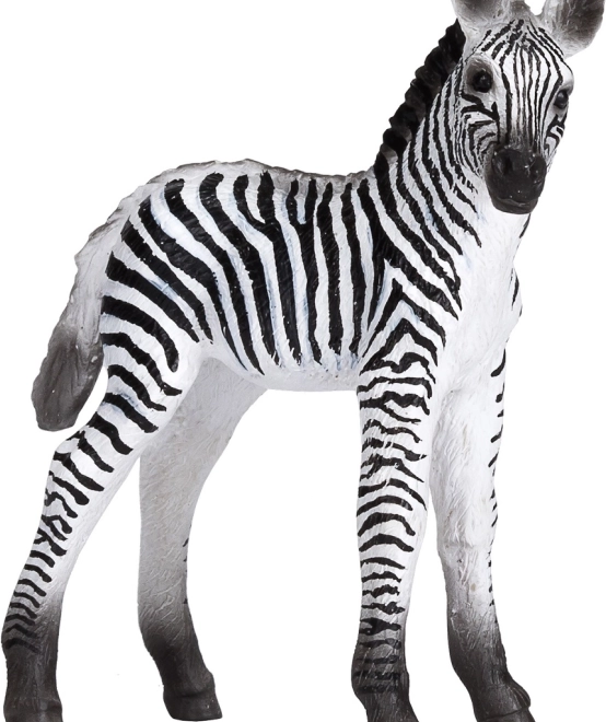 Realistische Zebra-Jungtierfigur