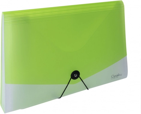 Organizer für Dokumente A4 mit Gummiverschluss Opaline transparent-grün