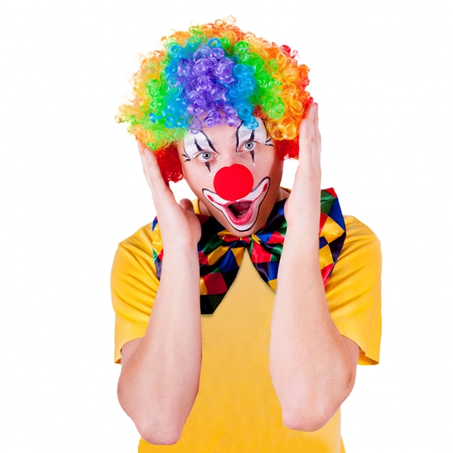 Bunte Clown Perücke für Erwachsene