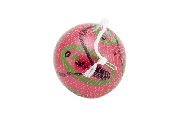 Bunter Plastikball 15 cm im Netz