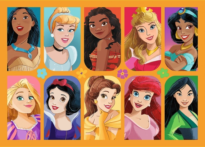 Puzzle Disney Prinzessinnen-Märchen