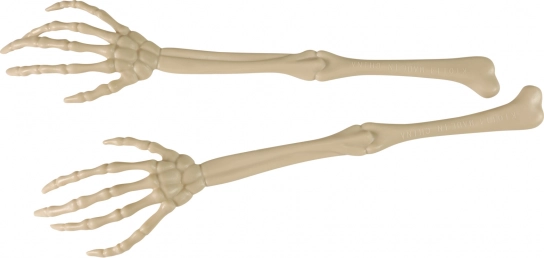 Dekoration Handknochen 2 Stück