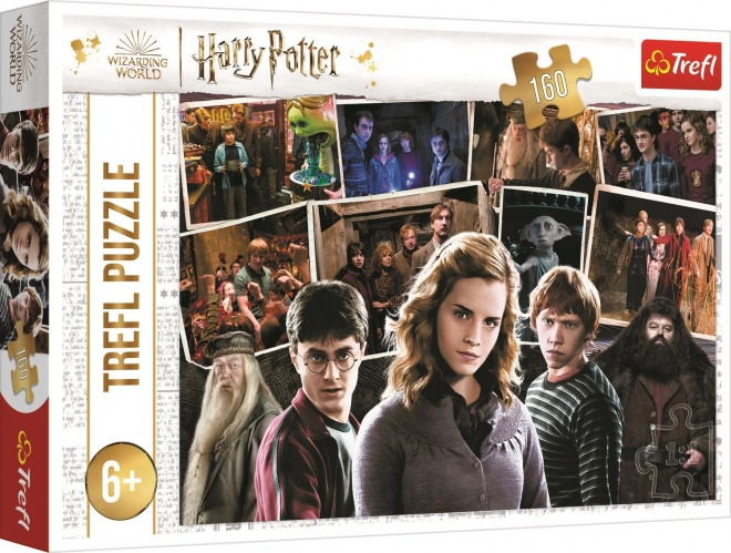 Harry Potter Puzzle mit Freunden 160 Teile