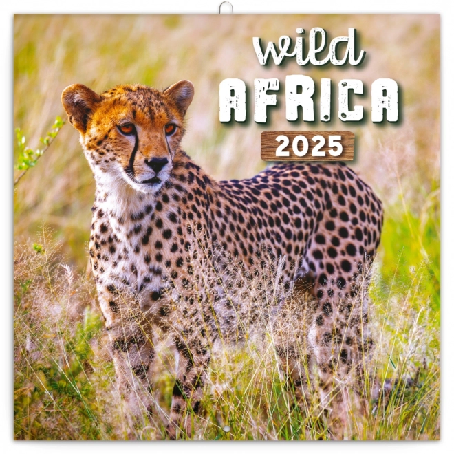 Notizkalender Wilde Afrika 2025