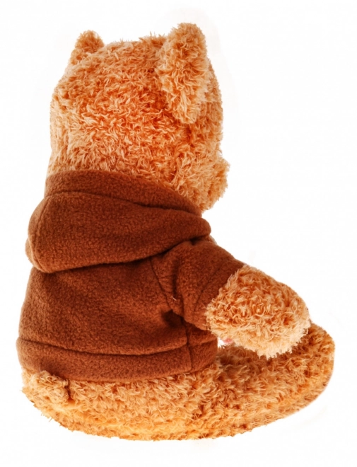 Teddybär mit Kapuzenpullover für Kinder ab 3 Jahren