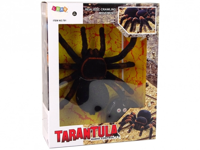 Ferngesteuerte schwarze Tarantel Spinne