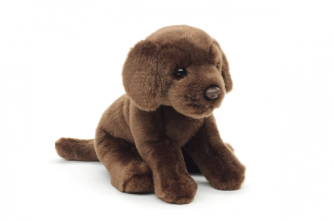 Plüsch Labrador 30 cm - Umweltfreundlich