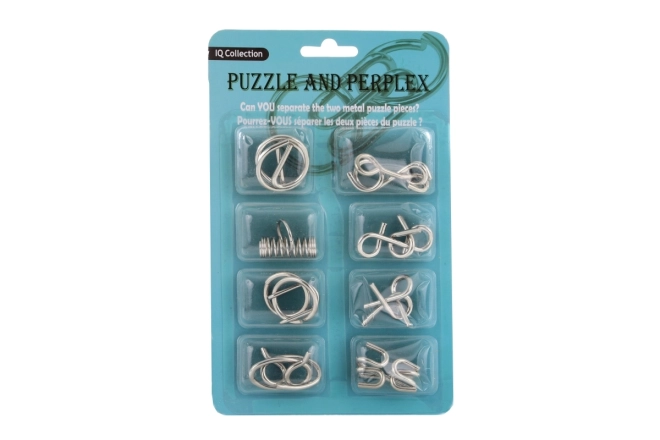 Set aus 6 Metallpuzzles