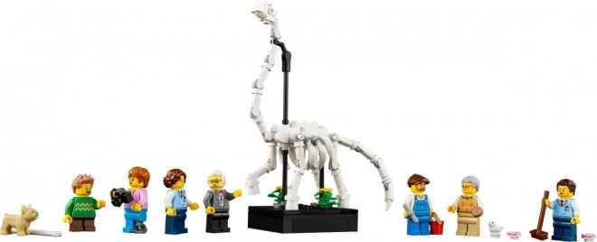 Lego Bausatz Naturkundemuseum für Erwachsene