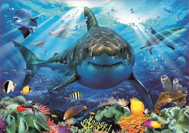 Puzzle Weißer Hai 500 Teile