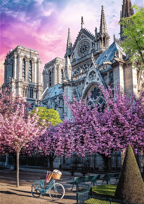 TREFL Puzzle Premium Plus Photo Odyssey – Kathedrale Notre‑Dame in Paris (1000 Teile)