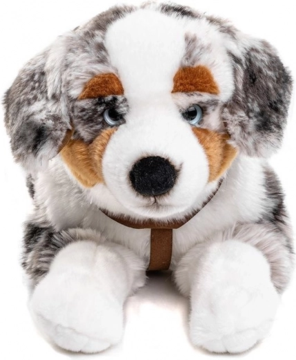 Geschirre für noch mehr Spaß