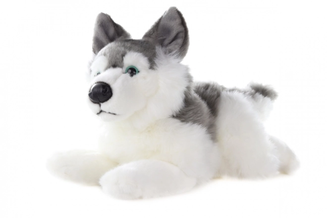 Plüsch Husky 34 cm