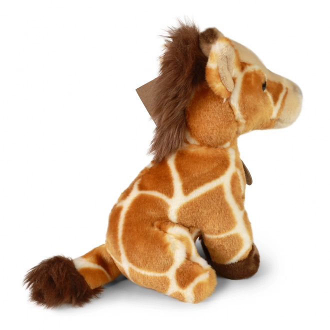 Sitzende Plüschgiraffe 18 cm umweltfreundlich