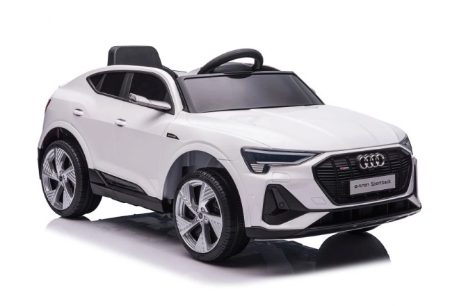 Audi E-Tron Autobatterie Weiß QLS-6688