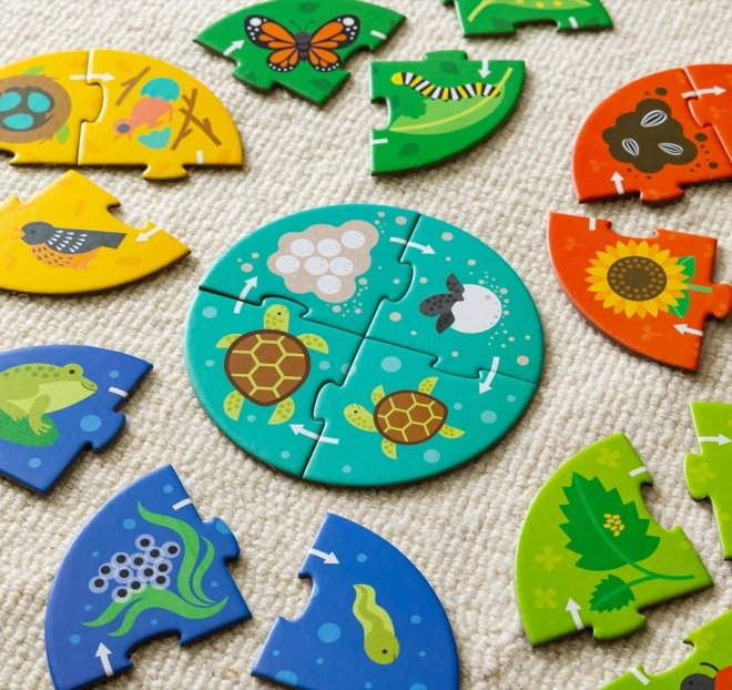 Petit Collage Puzzle Entdecker Lebenszyklus
