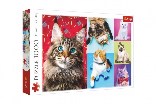 Puzzle Lustige Katzen 1000 Teile