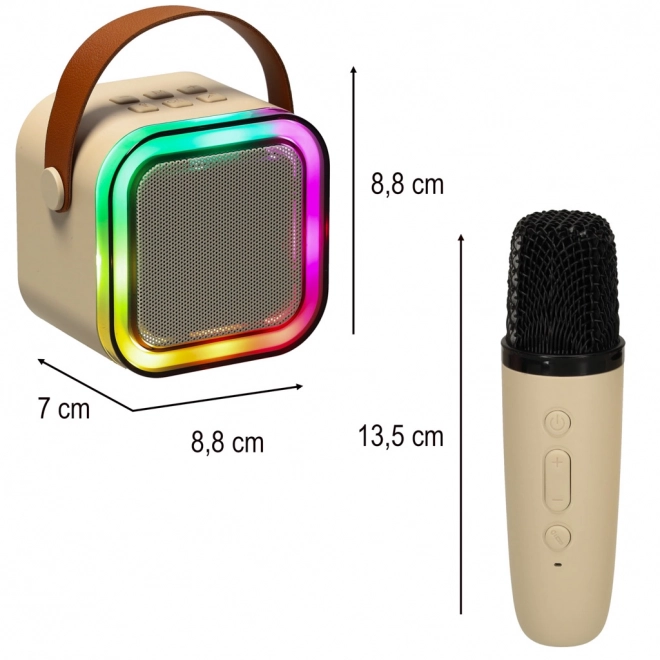 Karaoke-Set mit 2 Mikrofonen und Bluetooth-LED-Lautsprecher