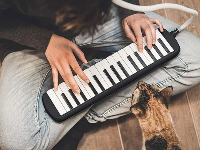 Melodika Musik Instrument mit Zubehör