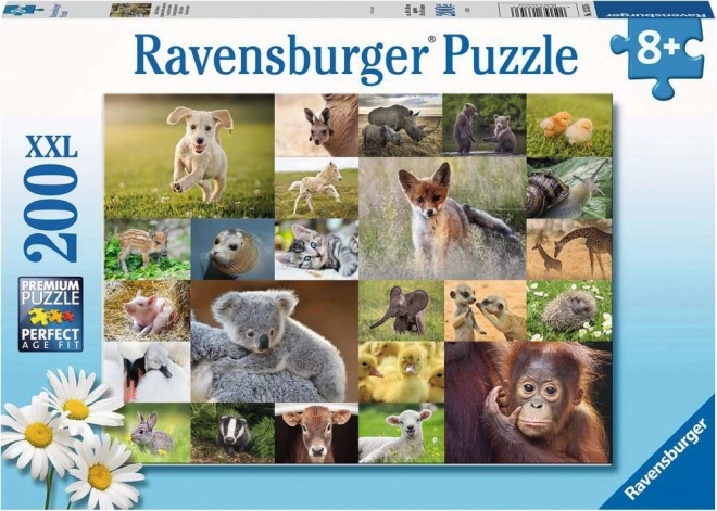 Ravensburger Puzzle Tierbabys 200 Teile