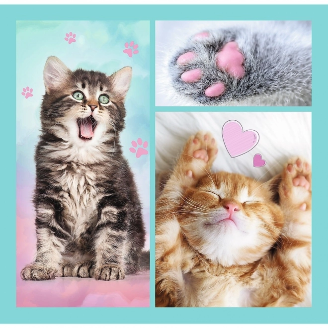 Süße Tierchen Katzen Puzzle 3-in-1
