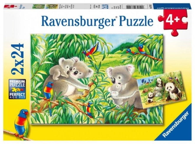 Ravensburger Puzzle süße Koalas und Pandas