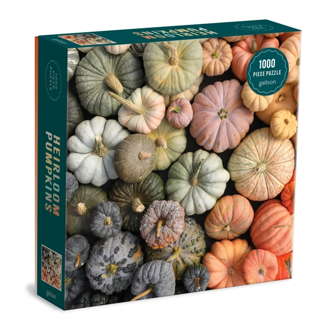 Galison Puzzle Zierkürbisse 1000 Teile