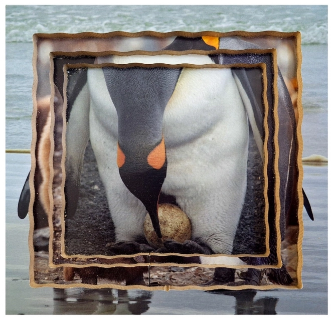 Pinguin Lebenszyklus Schichtpuzzle aus Holz