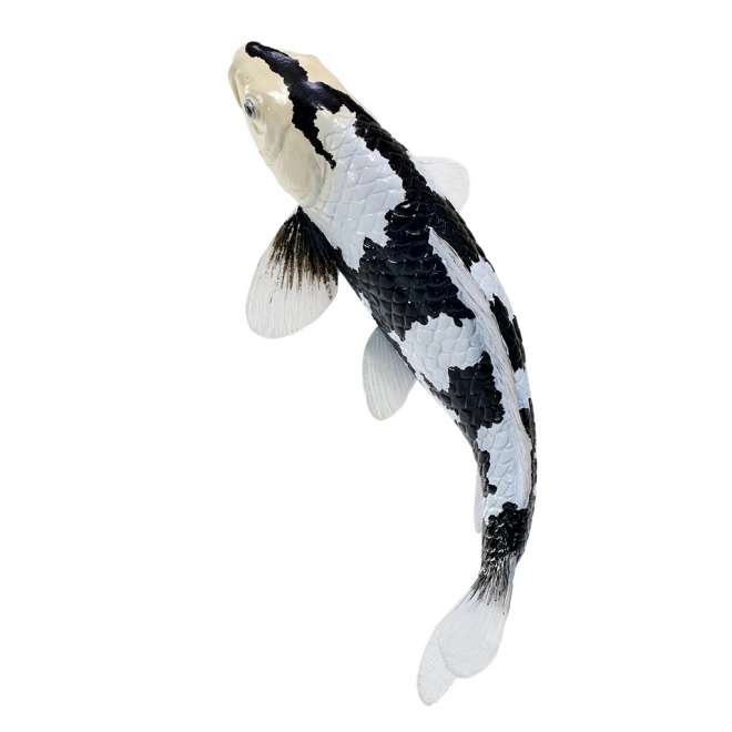Mojo Karpfen Koi Shiro Utsuri