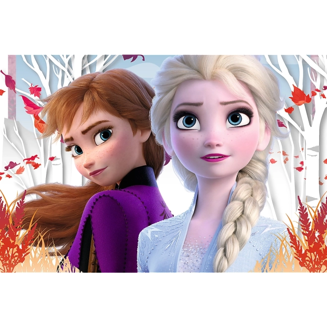 Frozen 2 Verzauberte Welt von Anna und Elsa Puzzle 60 Teile
