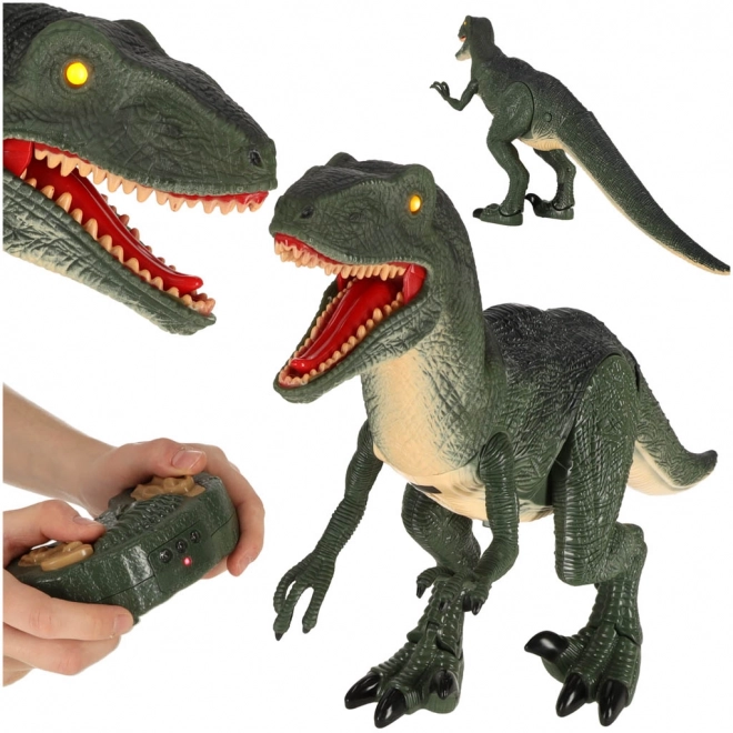 Interaktiver ferngesteuerter Velociraptor Dinosaurier mit Sound