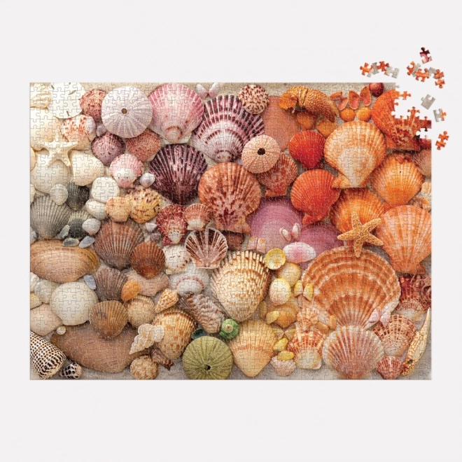 Galison Puzzle Leuchtende Muscheln 1000 Teile