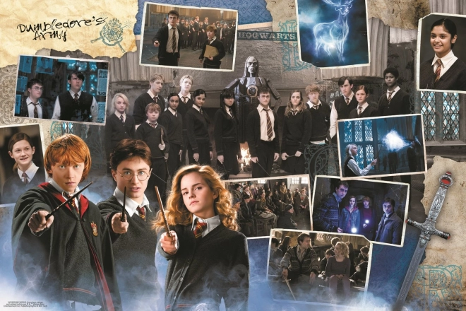 Trefl Puzzle Harry Potter 10 in 1 Set