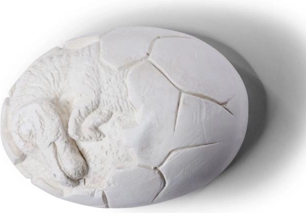 Ausgrabungsset für Dinosaurier-Eier