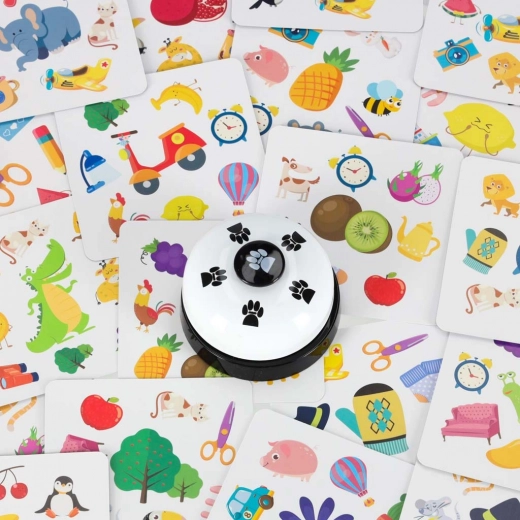 Schneller und spannender Familienspaß