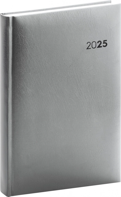 Tagesplaner Balacron 2025 in Silber