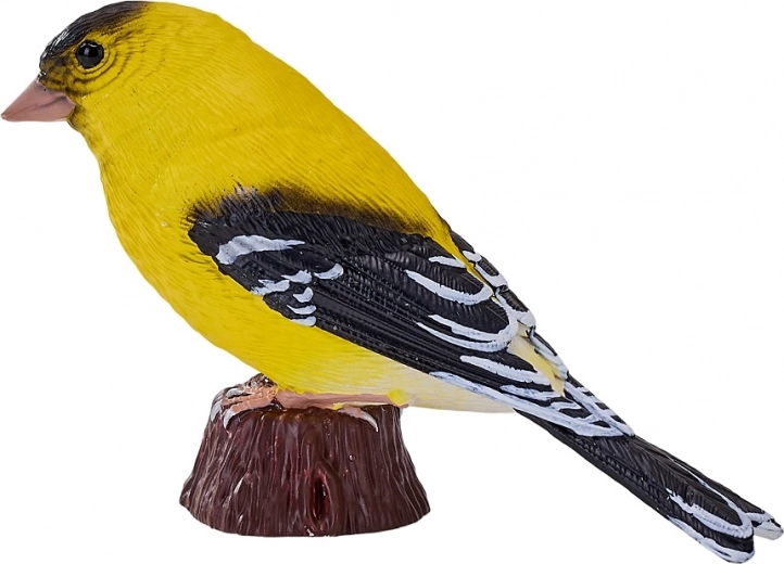 Naturgetreues Abbild des Erlenzeisigs