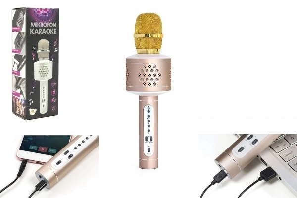 Kabelloses Karaoke-Mikrofon mit Bluetooth in Silber – Gold