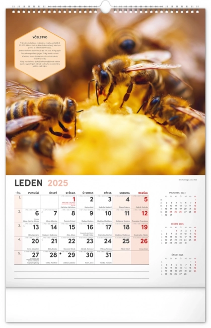 Notique Wandkalender für Imker 2025