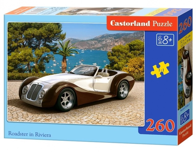 Buntiges Roadster-Puzzle